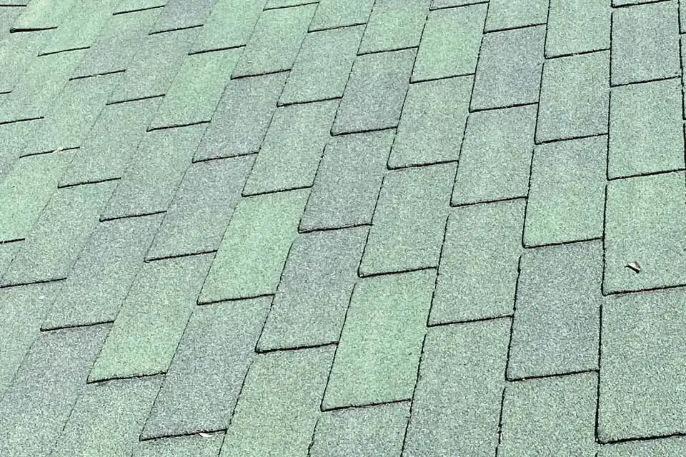 Close-up of dry, faded asphalt shingles before treatment, cut from Bright Green Roof's photo of a half-treated roof