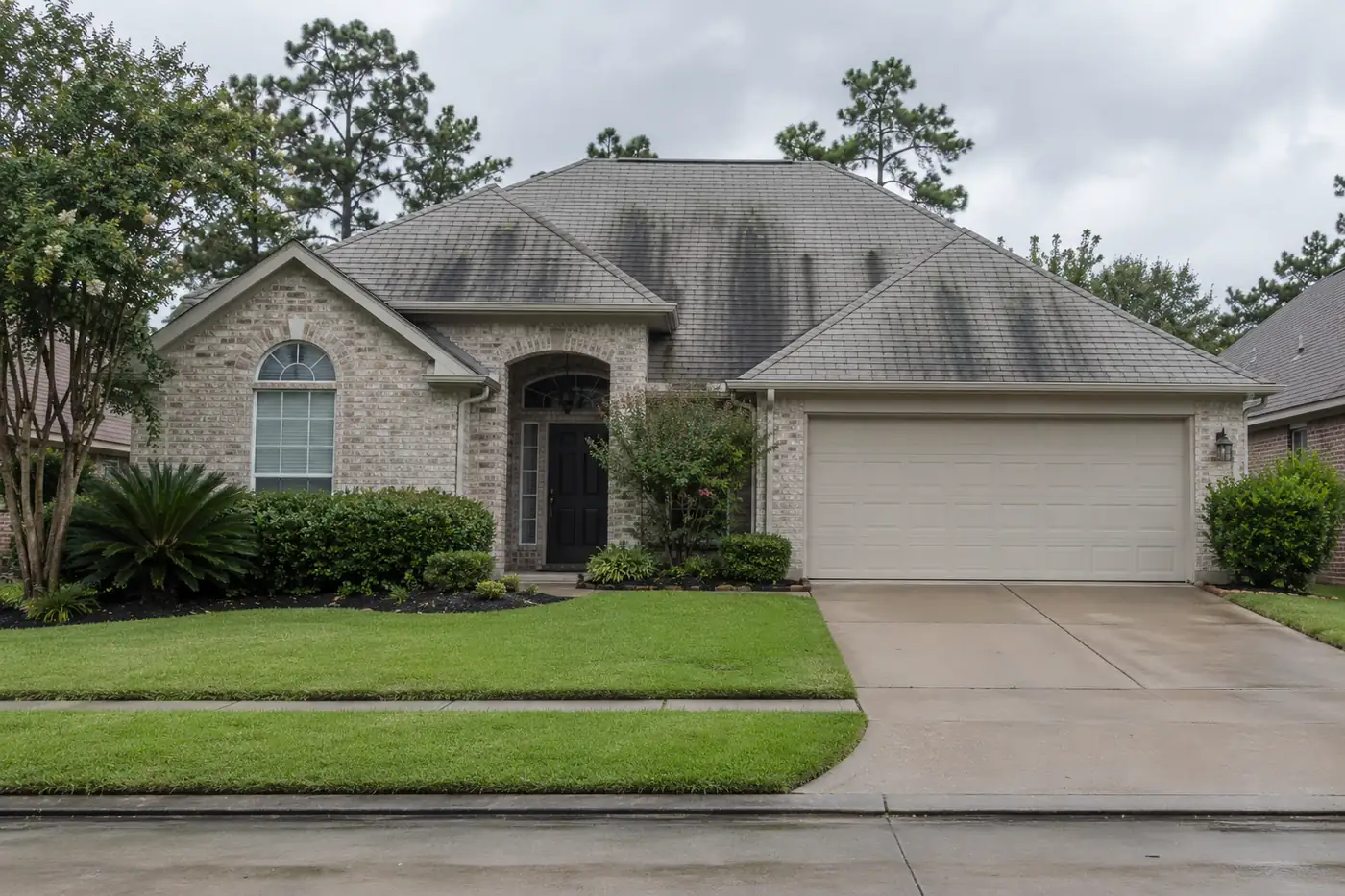 Light gray shingle roof with black algae streaks running down the slope